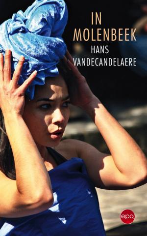 “In Molenbeek” van Hans Vandecandelaere